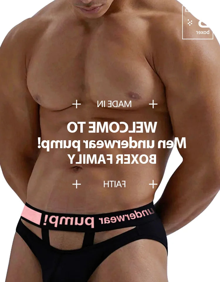 Men's Summer Sexy Briefs Men's Underwear Fashion NetClub