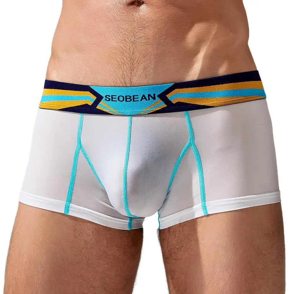 Men Silk Breathable Boxer