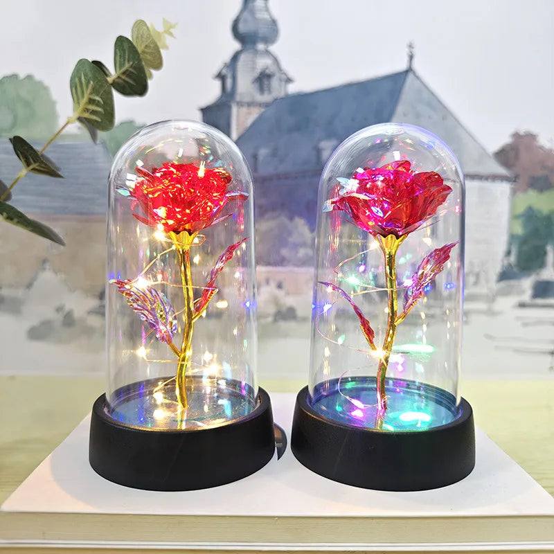 Valentines Day Rose Gift Rose Flowers Fashion NetClub