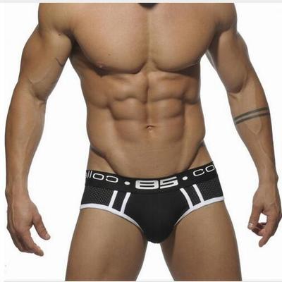 Classic Style Mesh Briefs Apparel Underwear Fashion NetClub