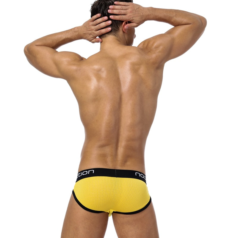 Classic Style Mesh Briefs Apparel Underwear Fashion NetClub