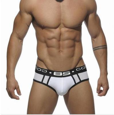 Classic Style Mesh Briefs Apparel Underwear Fashion NetClub