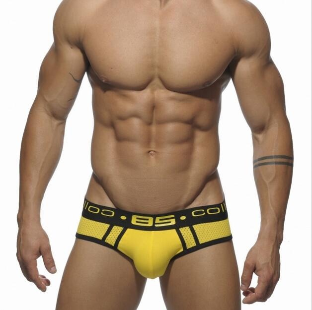 Classic Style Mesh Briefs Apparel Underwear Fashion NetClub