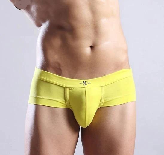 Men Underwear Modal Briefs - Fashion NetClub