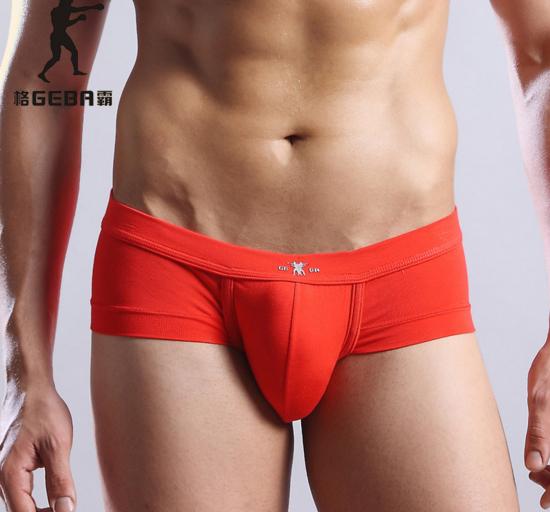 Men Underwear Modal Briefs - Fashion NetClub